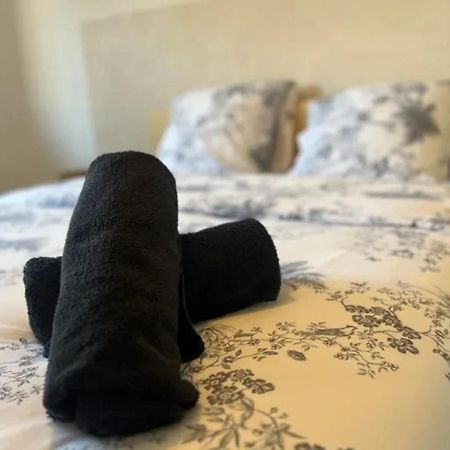 Cosy Rent Strasbourg Appartement Wifi Terrasse Экстерьер фото