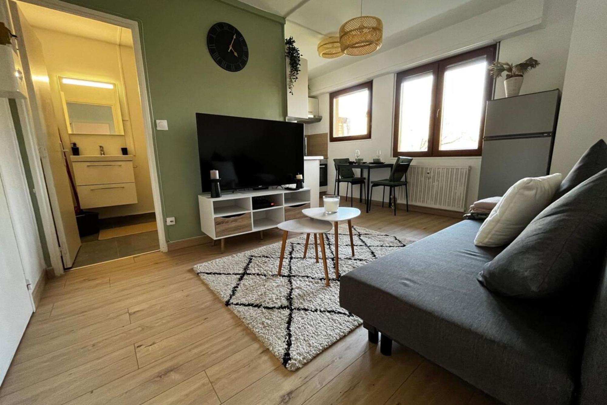 Cosy Rent Strasbourg Appartement Wifi Terrasse Экстерьер фото