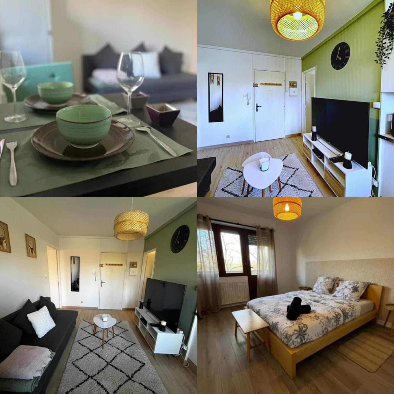 Cosy Rent Strasbourg Appartement Wifi Terrasse Экстерьер фото